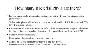 An account of Prokaryotic classification | PPTX