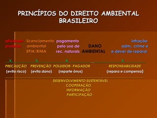PRINCÍPIOS DO DIREITO AMBIENTAL BRASILEIRO atividade   licenciamento  pagamento  infração proibida   ambiental  pelo uso de  DANO  adm., crime e   EPIA/RIMA   rec. naturais   AMBIENTAL   e dever de reparar     __X____________X______________X____________  ______________X___________  PRECAUÇÃO  PREVENÇÃO  POLUIDOR-  PAGADOR   RESPONSABILIDADE (evita risco)  (evita dano)   (reparte ônus)  (repara e  compensa ) _______________________________________________________________________________ DESENVOLVIMENTO SUSTENTÁVEL COOPERAÇÃO INFORMAÇÃO PARTICIPAÇÃO 