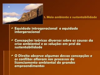 1. Meio ambiente e sustentabilidade Equidade intrageracional  e equidade intergeracional Concepções teóricas diversas sobre as causas da crise ambiental e as soluções em prol da sustentabilidade  O Direito absorve algumas dessas concepções e os conflitos afloram nos processos de licenciamento ambiental de grandes empreendimentos 