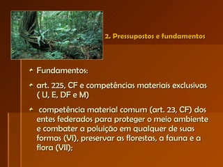 2. Pressupostos e fundamentos  Fundamentos:  art. 225, CF e competências materiais exclusivas  ( U, E, DF e M) competência material comum (art. 23, CF) dos entes federados para proteger o meio ambiente e combater a poluição em qualquer de suas formas (VI), preservar as florestas, a fauna e a flora (VII); 