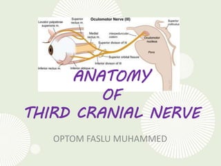ANATOMY
OF
THIRD CRANIAL NERVE
OPTOM FASLU MUHAMMED
 