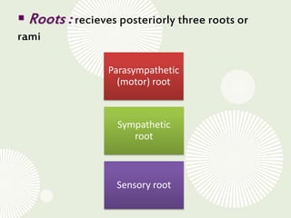 Sensorial Roots Anatomy of 3rd cranial nerve | PPTX