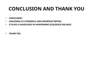 CONCLUSION AND THANK YOU
• CONCLUSION:
• ANACONDA IS A POWERFUL AND IMPORTANT REPTILE.
• IT PLAYS A MAJOR ROLE IN MAINTAINING ECOLOGICAL BALANCE.
• THANK YOU
 