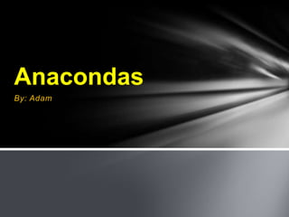 Anacondas
By: Adam
 