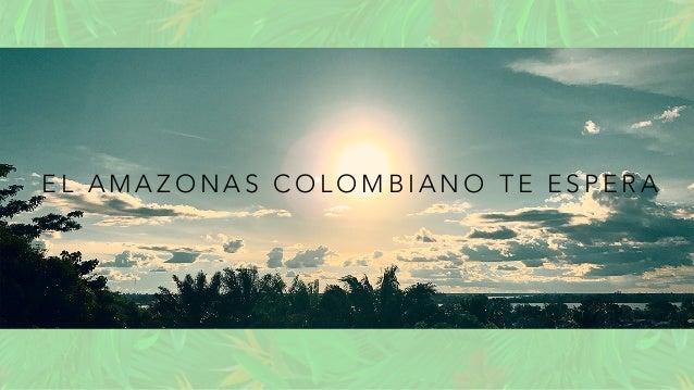 E L A M A Z O N A S C O L O M B I A N O T E E S P E R A
 