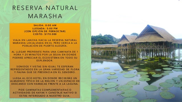 R E S E R VA N AT U R A L
M A R A S H A
S A L I D A : 8 : 0 0 A M
L L E G A D A : 5 : 0 0 P M
( C O N O P C I Ó N D E P E R N O C TA R )
C O S T O : $ 1 7 0 . 0 0 0
V I A J A E N L A N C H A H A C I A L A R E S E R VA N AT U R A L
M A R A S H A L O C A L I Z A D A E N E L P E R Ú C E R C A A L A
P O B L A C I Ó N D E P U E RT O A L E G R Í A .
A L L L E G A R P R E PÁ R AT E PA R A U N A C A M I N ATA D E 1
H O R A Y 2 0 M I N U T O S P O R L A S E LVA E N D O N D E
P O D R Á S A P R E C I A R E L E C O S I S T E M A E N T O D O S U
E S P L E N D O R .
S O N I D O S Y V I S TA S S I N I G U A L T E E S P E R A N
R E P R E S E N TA D O S E N L A G R A N VA R I E D A D D E F L O R A
Y FA U N A Q U E S E P R E S E N C I A E N E L S E N D E R O .
L L E G A A L E C O H O T E L E N D O N D E R E C I B I R Á S U N
A L M U E R Z O T Í P I C O D E L A R E G I Ó N Y U N E S PA C I O D E
D E S C A N S O C O N H A M A C A S F R E N T E A L A L A G U N A .
P I D E C A M I N ATA S C O M P L E M E N TA R I A S O
A C T I V I D A D E S D E K AYA K Y C A N O TA J E N AT I V O S I
E S TÁ S I N T E R E S A D O A N U E S T R O G U I A .
 