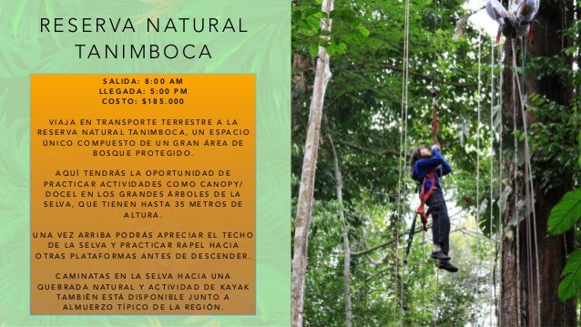 R E S E R VA N AT U R A L
TA N I M B O C A
S A L I D A : 8 : 0 0 A M
L L E G A D A : 5 : 0 0 P M
C O S T O : $ 1 8 5 . 0 0 0
V I A J A E N T R A N S P O RT E T E R R E S T R E A L A
R E S E R VA N AT U R A L TA N I M B O C A , U N E S PA C I O
Ú N I C O C O M P U E S T O D E U N G R A N Á R E A D E
B O S Q U E P R O T E G I D O .
A Q U Í T E N D R Á S L A O P O RT U N I D A D D E
P R A C T I C A R A C T I V I D A D E S C O M O C A N O P Y /
D O C E L E N L O S G R A N D E S Á R B O L E S D E L A
S E LVA , Q U E T I E N E N H A S TA 3 5 M E T R O S D E
A LT U R A .
U N A V E Z A R R I B A P O D R Á S A P R E C I A R E L T E C H O
D E L A S E LVA Y P R A C T I C A R R A P E L H A C I A
O T R A S P L ATA F O R M A S A N T E S D E D E S C E N D E R .
C A M I N ATA S E N L A S E LVA H A C I A U N A
Q U E B R A D A N AT U R A L Y A C T I V I D A D D E K AYA K
TA M B I É N E S TÁ D I S P O N I B L E J U N T O A
A L M U E R Z O T Í P I C O D E L A R E G I Ó N .
 