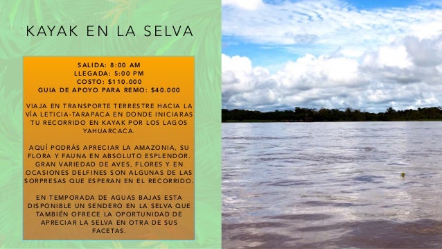 K AYA K E N L A S E LVA
S A L I D A : 8 : 0 0 A M
L L E G A D A : 5 : 0 0 P M
C O S T O : $ 1 1 0 . 0 0 0
G U I A D E A P O Y O PA R A R E M O : $ 4 0 . 0 0 0
V I A J A E N T R A N S P O RT E T E R R E S T R E H A C I A L A
V Í A L E T I C I A - TA R A PA C A E N D O N D E I N I C I A R A S
T U R E C O R R I D O E N K AYA K P O R L O S L A G O S
YA H U A R C A C A .
A Q U Í P O D R Á S A P R E C I A R L A A M A Z O N I A , S U
F L O R A Y FA U N A E N A B S O L U T O E S P L E N D O R .
G R A N VA R I E D A D D E AV E S , F L O R E S Y E N
O C A S I O N E S D E L F I N E S S O N A L G U N A S D E L A S
S O R P R E S A S Q U E E S P E R A N E N E L R E C O R R I D O .
E N T E M P O R A D A D E A G U A S B A J A S E S TA
D I S P O N I B L E U N S E N D E R O E N L A S E LVA Q U E
TA M B I É N O F R E C E L A O P O RT U N I D A D D E
A P R E C I A R L A S E LVA E N O T R A D E S U S
FA C E TA S .
 