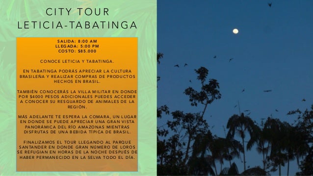 C I T Y T O U R
L E T I C I A - TA B AT I N G A
S A L I D A : 8 : 0 0 A M
L L E G A D A : 5 : 0 0 P M
C O S T O : $ 8 5 . 0 0 0
C O N O C E L E T I C I A Y TA B AT I N G A .
E N TA B AT I N G A P O D R Á S A P R E C I A R L A C U LT U R A
B R A S I L E Ñ A Y R E A L I Z A R C O M P R A S D E P R O D U C T O S
H E C H O S E N B R A S I L .
TA M B I É N C O N O C E R Á S L A V I L L A M I L I TA R E N D O N D E
P O R $ 4 0 0 0 P E S O S A D I C I O N A L E S P U E D E S A C C E D E R
A C O N O C E R S U R E S G U A R D O D E A N I M A L E S D E L A
R E G I Ó N .
M Á S A D E L A N T E T E E S P E R A L A C O M A R A , U N L U G A R
E N D O N D E S E P U E D E A P R E C I A R U N A G R A N V I S TA
PA N O R Á M I C A D E L R Í O A M A Z O N A S M I E N T R A S
D I S F R U TA S D E U N A B E B I D A T Í P I C A D E B R A S I L .
F I N A L I Z A M O S E L T O U R L L E G A N D O A L PA R Q U E
S A N TA N D E R E N D O N D E G R A N N Ú M E R O D E L O R O S
S E R E F U G I A N E N H O R A S D E L A N O C H E D E S P U É S D E
H A B E R P E R M A N E C I D O E N L A S E LVA T O D O E L D Í A .
 