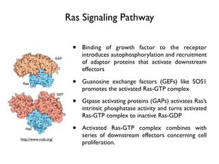 How Is Ras Activated An activity based probe for acyl protein thioesterase 1 | KEY