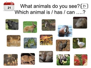 What animals do you see?
Which animal is / has / can ….?
21
 