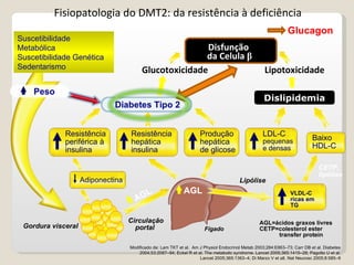 AGL=ácidos graxos livres CETP=colesterol ester    transfer protein Modificado de: Lam TKT et al.  Am J Physiol Endocrinol Metab 2003;284:E863–73; Carr DB et al. Diabetes 2004;53:2087–94; Eckel R et al. The metabolic syndrome. Lancet 2005;365:1415–28; Pagotto U et al. Lancet 2005;365:1363–4; Di Marzo V et alI. Nat Neurosc 2005;8:585–9 Suscetibilidade Metabólica Suscetibilidade Genética Sedentarismo Dislipidemia Lipotoxicidade Glucotoxicidade Disfunção  da Celula  β Fisiopatologia do DMT2: da resistência à deficiência Glucagon Circulação portal  Fígado   AGL AGL Gordura visceral Resistência periférica à insulina Adiponectina Peso Resistência hepática insulina Produção hepática de glicose VLDL-C ricas em TG LDL-C  pequenas e densas Baixo  HDL-C Lipólise CETP, lipólise 