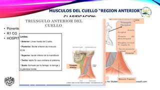 CLASIFICACION:
• Ponente: HERNANDEZ SANTOS
• R1 CG
• HOSPITAL: Juan Ramon de la Fuente
MUSCULOS DEL CUELLO “REGION ANTERIOR”
 