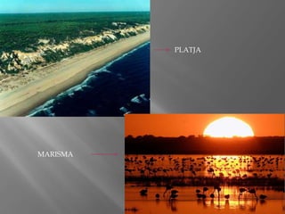 PLATJA

MARISMA

 