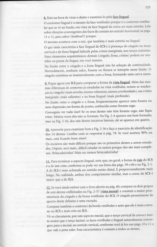 125
8. Está na hora de virar o dente e examiná-lo pela face lingual.
O contorno lingualé o mesmo da face vestibularporqueé o contornovestibu-
lar que se vê ao fundo, em vista da face lingual da coroa ser mais estreita. Leia
sobre direçõesconvergentes das faces de contato no sentido horizontal, àspágs.
11 e 12,para saber (lembrar?) porque.
O mesmo acontece com a raiz, que também é mais estreita na lingual.
O que mais caracterizaa face lingual do ICS é a presença do cíngulo no terço
cervical e da fossa lingual ladeada pelas cristas marginais, nos terços restantes.
Estes elementos arquitetônicos dentais (cíngulo, fossa, cristas) podem ser sen-
tidos na ponta da língua, em você mesmo.
No limite entre o cíngulo e a fossa lingual não há solução de continuidade.
Normalmente, nenhum sulco, fosseta ou fissura se interpõe nesse limite. O
cíngulo continua-se insensivelmente com a fossa, formando uma curva suave.
9. Pegue agora um ILS para comparar a forma da vista lingual. Além dasmes-
mas diferenças de contorno já estudadasna vista vestibular,notam-se mudan-
çasno cíngulo (mais estreito,menosvolumoso,menos arredondado),nascristas
marginais (mais salientes) e na fossa lingual (mais profunda).
No limite entre o cíngulo e a fossa, frequentemente aparece uma fosseta ou
uma depressão em forma de ponto, conhecida como forame cego.
Conseguiu ver tudo isso? Se os seus dentes não têm forame cego, não fique
triste. Muitas vezes eles não se formam. Na Fig. 2-4 aparece um bem formado,
mas na Fig. 2-36, dos sete dentes incisivos laterais, ele só aparece em quatro.
10.Aproveitepara examinarbem a Fig. 2-36e faça o exercíciode identificação
dos 14 dentes. Confira com as respostas à pág. 78. Se você acertou 90% ou
mais, está ficando bom nisso!
Os incisivos são mais difíceis porque são os primeiros dentes a seremestuda-
dos. Depois, será mais...difícil estudar os outros porque eles são mais comple-
xos. Brincadeirinha! Mais ou menos brincadeirinha!
11.Para terminar o aspecto lingual, note que, no geral, a forma da raiz do ICS
é a de um cone, conforme se pode ver nas fotos das págs. 59 e 60 e na Fig. 2-1.
A do ILS é mais achatada no sentido mésio-distal. E proporcionalmente mais
longa. Na realidade, ambas têm comprimento similar, mas a coroa do ICS é
maior que a do ILS.
12.Sevocê ainda estivercom o livro aberto na pág.60, compareos doisgrupos
de sete dentes enfileiradosna Fig,2-37 (vista mesial) e constate a maior proe-
minência do cíngulo e da bossa vestibular do ICS. O cíngulo proeminente do
quarto dente debaixo é uma exceção.
Compare também o contorno da borda vestibular e note que ele é mais conve-
xo no ICS e mais reto no ILS.
Vê-se claramente, por este aspecto mesial, que o terço cervical da coroa é mui-
to maior que o terço incisai, as faces vestibular e lingual naturalmente conver-
gem para a incisai, no sentido vertical, conforme você já leu nas págs. 10e 11 e
que vale a pena reler. Esta característica é comum a todos osdentes.
 
