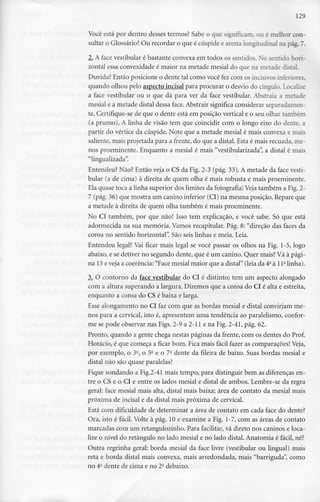 129
Você está por dentro desses termos? Sabe o que significam, ou é melhor con-
sultar o Glossário? Ou recordar o que é cúspide e aresta longitudinal na pág.7.
2. A face vestibular é bastante convexa em todos os sentidos. No sentido hori-
zontal essa convexidade é maior na metade mesial do que na metade distai.
Duvida? Então posicione o dente tal como você fez com os incisivos inferiores,
quando olhou pelo aspecto incisai para procurar o desvio do cíngulo. Localize
a face vestibular ou o que dá para ver da face vestibular. Abstraia a metade
mesial e a metade distai dessa face. Abstrair significa considerar separadamen-
te. Certifique-se de que o dente está em posição vertical e o seu olhar também
(a prumo). A linha de visão tem que coincidir com o longo eixo do dente, a
partir do vértice da cúspide. Note que a metade mesial é mais convexa e mais
saliente, mais projetada para a frente, do que a distai. Esta é mais recuada, me-
nos proeminente. Enquanto a mesial é mais "vestibularizada", a distai é mais
"lingualizada".
Entendeu? Não? Então veja o CS da Fig. 2-3 (pág. 33). A metade da face vesti-
bular (a de cima) à direita de quem olha é mais robusta e mais proeminente.
Ela quase toca a linha superior dos limites da fotografia! Veja também a Fig.2-
7 (pág.36) que mostra um canino inferior (Cl) na mesma posição. Repare que
a metade à direita de quem olha também é mais proeminente.
No Cl também, por que não! Isso tem explicação, e você sabe. Só que está
adormecida na sua memória. Vamos recapitular. Pág. 8: "direção das faces da
coroa no sentido horizontal". São seis linhas e meia. Leia.
Entendeu legal? Vai ficar mais legal se você passar os olhos na Fig. 1-5, logo
abaixo, e se detiver no segundo dente, que é um canino. Quer mais?Vá à pági-
na 13eveja a coerência: "Face mesial maior que a distai" (leia da 4a à l P linha).
3. O contorno da face vestibular do Cl é distinto; tem um aspecto alongado
com a altura superando a largura. Dizemos que a coroa do Cl é alta e estreita,
enquanto a coroa do CS é baixa e larga.
Esse alongamento no Cl faz com que as bordas mesial e distai convirjam me-
nos para a cervical, isto é, apresentem uma tendência ao paralelismo, confor-
me se pode observar nas Figs. 2-9 a 2-11 e na Fig. 2-41, pág. 62.
Pronto, quando a gente chega nestas páginas da frente, com os dentes do Prof.
Horácio, é que começa a ficar bom. Fica mais fácil fazer as comparações! Veja,
por exemplo, o 3a, o 52 e o 7- dente da fileira de baixo. Suas bordas mesial e
distai não são quase paralelas?
Fique sondando a Fig.2-41 mais tempo, para distinguir bem as diferenças en-
tre o CS e o Cl e entre os lados mesial e distai de ambos. Lembre-se da regra
geral: face mesial mais alta, distai mais baixa; área de contato da mesial mais
próxima de incisai e da distai mais próxima de cervical.
Está com dificuldade de determinar a área de contato em cada face do dente?
Ora, isto é fácil. Volte à pág. 10 e examine a Fig. 1-7, com as áreas de contato
marcadas com um retangulozinho. Para facilitar, vá direto nos caninos e loca-
lize o nível do retângulo no lado mesial e no lado distai. Anatomia é fácil, né?
Outra regrinha geral: borda mesial da face livre (vestibular ou lingual) mais
reta e borda distai mais convexa, mais arredondada, mais "barriguda", como
no 4a dente de cima e no 2° debaixo.
 