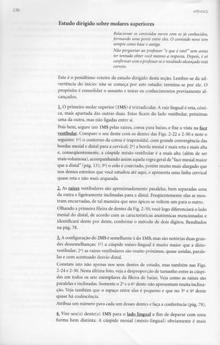 APÊNDICE
Estudo dirigido sobre molares superiores
Relacionar os conteúdos novos com os já conhecidos,
formando uma ponte entre eles. O conteúdo novo tem
sempre como base o antigo.
Não perguntar ao professor "o que é isto?" sem antes
ter tentado obter você mesmo a resposta. Depois, é só
confirmar com oprofessor se o resultado alcançado está
carreto.
Este é o penúltimo roteiro de estudo dirigido desta seção. Lembre-se da ad-
vertência do início: não se começa por este estudo; termina-se por ele. O
propósito é consolidar o assunto e testar os conhecimentos previamente al-
cançados.
1. O primeiro molar superior (IMS) é trirradicular. A raiz lingual é reta, cóni-
ca, mais apartada das outras duas. Estas ficam do lado vestibular, próximas
uma da outra, mas não ligadas entre si.
Pois bem, segure um IMS pelas raízes, coroa para baixo, e fixe a vista na face
vestibular. Compare o seu dente com os dentes das Figs. 2-22 e 2-50 e note o
seguinte: 1a) o contorno da coroa é trapezoidal, com grande convergência das
bordas mesial e distai para a cervical; 2e) a borda mesial é mais reta e mais alta
e, consequentemente, a cúspide mésio-vestibular é a mais alta (além de ser
mais volumosa), acompanhando assim aquela regra geralde "face mesial maior
que a distai" (pág. 13); 3a) o colo é coarctado, porém muito mais alargado que
nos dentes estreitos que você estudou até aqui, e apresenta uma linha cervical
quase reta e não mais arqueada.
2. As raízes vestibulares são aproximadamente paralelas, bem separadas uma
da outra e ligeiramente inclinadas para a distai. Frequentemente elas se mos-
tram encurvadas, de tal maneira que seus ápices sevoltem um para o outro.
Olhando a primeira fileira de dentes da Fig. 2-50,você logo diferenciará o lado
mesial do distai, de acordo com as características anatómicas mencionadas e
identificará dente por dente, conforme o método de dois dígitos. Resultados
na pág. 78.
3_..A configuração do 2MS é semelhante à do IMS, mas são notórias duas gran-
des dessemelhanças: l-) a cúspide mésio-lingual é muito maior que a disto-
vestibular; 2a) as raízes vestibulares são muito próximas, quase unidas, parale-
las e com acentuado desvio distai.
Constate isto não apenas nos seus dentes de estudo, mas também nas Figs.
2-24 e 2-50. Nesta última foto, veja a desproporção de tamanho entre as cúspi-
des em todos os sete exemplares da fileira de baixo. Veja como as raízes são
paralelas e inclinadas. Somente o 2a e o 6a dente não apresentam muita inclina-
ção. Veja também que o espaço entre elas é pequeno e que no 3a e 6a dente
quase há coalescência.
Atribua um número para cada um desses dentes e faça a conferência (pág. 78).
4. Vire seu(s) dente(s) IMS para o lado lingual a fim de deparar com uma
forma bem distinta. A cúspide mesial (mésio-lingual) obviamente é mais
 
