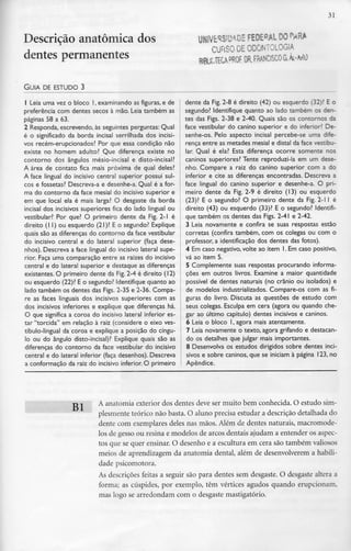 31
Descrição anatómica dos
dentes permanentes
UNIVERSIDADE FEDERAL 00 f»MRA
CURSO DE ODONTOLOGIA
GUIA DE ESTUDO 3
1 Leia uma vez o bloco l, examinando as figuras, e de
preferência com dentes secos à mão. Leia também as
páginas 58 a 63.
2 Responda,escrevendo,às seguintes perguntas: Qual
é o significado da borda incisai serrilhada dos incisi-
vos recém-erupcionados? Por que essa condição não
existe no homem adulto? Que diferença existe no
contorno dos ângulos mésio-incisal e disto-incisal?
A área de contato fica mais próxima de qual deles?
A face lingual do incisivo central superior possui sul-
cos e fossetas? Descreva-a e desenhe-a. Qual é a for-
ma do contorno da face mesial do incisivo superior e
em que local ela é mais larga? O desgaste da borda
incisai dos incisivos superiores fica do lado lingual ou
vestibular? Por que? O primeiro dente da Fig. 2-1 é
direito (l I) ou esquerdo (21)? E o segundo? Explique
quais são as diferenças do contorno da face vestibular
do incisivo central e do lateral superior (faça dese-
nhos). Descreva a face lingual do incisivo lateral supe-
rior. Faça uma comparação entre as raízes do incisivo
central e do lateral superior e destaque as diferenças
existentes. O primeiro dente da Fig. 2-4 é direito (12)
ou esquerdo (22)? E o segundo? Identifique quanto ao
lado também os dentes das Figs. 2-35 e 2-36. Compa-
re as faces linguais dos incisivos superiores com as
dos incisivos inferiores e explique que diferenças há.
O que significa a coroa do incisivo lateral inferior es-
tar "torcida" em relação à raiz (considere o eixo ves-
tíbulo-lingual da coroa e explique a posição do cíngu-
lo ou do ângulo disto-incisal)? Explique quais são as
diferenças do contorno da face vestibular do incisivo
central e do lateral inferior (faça desenhos). Descreva
a conformação da raiz do incisivo inferior. O primeiro
dente da Fig. 2-8 é direito (42) ou esquerdo (32)? E o
segundo? Identifique quanto ao lado também os den-
tes das Figs. 2-38 e 2-40. Quais são os contornos da
face vestibular do canino superior e do inferior? De-
senhe-os. Pelo aspecto incisai percebe-se uma dife-
rença entre as metades mesial e distai da face vestibu-
lar. Qual é ela? Esta diferença ocorre somente nos
caninos superiores? Tente reproduzi-la em um dese-
nho. Compare a raiz do canino superior com a do
inferior e cite as diferenças encontradas. Descreva a
face lingual do canino superior e desenhe-a. O pri-
meiro dente da Fig. 2-9 é direito (13) ou esquerdo
(23)? E o segundo? O primeiro dente da Fig. 2-1 l é
direito (43) ou esquerdo (33)? E o segundo? Identifi-
que também os dentes das Figs. 2-41 e 2-42.
3 Leia novamente e confira se suas respostas estão
corretas (confira também, com os colegas ou com o
professor, a identificação dos dentes das fotos).
4 Em caso negativo, volte ao item l. Em caso positivo,
vá ao item 5.
5 Complemente suas respostas procurando informa-
ções em outros livros. Examine a maior quantidade
possível de dentes naturais (no crânio ou isolados) e
de modelos industrializados. Compare-os com as fi-
guras do livro. Discuta as questões de estudo com
seus colegas. Esculpa em cera (agora ou quando che-
gar ao último capítulo) dentes incisivos e caninos.
6 Leia o bloco l, agora mais atentamente.
7 Leia novamente o texto, agora grifando edestacan-
do os detalhes que julgar mais importantes.
8 Desenvolva os estudos dirigidos sobre dentes inci-
sivos e sobre caninos,que se iniciam à página 123, no
Apêndice.
BI A anatomia exterior dos dentes deve ser muito bem conhecida. O estudo sim-
plesmente teórico não basta. O aluno precisa estudar a descrição detalhada do
dente com exemplares deles nas mãos. Além de dentes naturais, macromode-
los de gesso ou resina e modelos de arcos dentais ajudam a entender os aspec-
tos que se quer ensinar. O desenho e a escultura em cera são também valiosos
meios de aprendizagem da anatomia dental, além de desenvolverem a habili-
dade psicomotora.
As descrições feitas a seguir são para dentes sem desgaste. O desgaste altera a
forma; as cúspides, por exemplo, têm vértices agudos quando erupcionam,
mas logo se arredondam com o desgaste mastigatório.
 