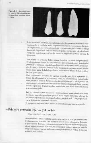 -- ANATOMIA INDIVIDUAL DOS DENTES
Figura 2-15 - Segundo premo-
lar superior.Três exemplares vis-
tos pelas faces vestibular, lingual
e mesial.
É um dente mais simétrico, no qual as cúspides são aproximadamente do mes-
mo tamanho (a vestibular ainda é ligeiramentemaior); os segmentos das ares-
tas longitudinais não têm predomínio de extensão um sobre o outro; o vértice
da cúspide lingual não está tão deslocado para a mesial; não há sulco inter-
rompendo a crista marginal mesial e nem há depressão no terço cervical da
face mesial.
Face oclusal - o contorno da face oclusal é oval ou circular e não pentagonal.
O sulco primário é central e não deslocado para a lingual como no primeiro
premolar. O vértice da cúspide lingual encontra-se alinhado com o ponto mé-
dio da coroa. A diferença entre as cristas marginais é menos acentuada. O diâ-
metro mésio-distal do lado lingual não é muito menor do que do lado vestibu-
lar (são quase iguais).
Uma característicamarcante do segundo premolar superior é a pequena ex-
tensão do sulco principal no centro da coroa. As fossetas mesial e distai estão
mais próximas entre si. Às vezes, estão tão próximas que o sulco passa a ser
muito curto, a ponto de setransformar em uma fosseta central. Outra caracte-
rística é a presença de muitos sulcos secundários, que dão à face oclusal uma
aparência enrugada.
Raiz - a raiz única (90% doscasos) émuito achatada mésio-distalmente, com
profundos sulcos longitudinais que dão à sua secção transversal a forma de
um haltere. Quando não muito profundos, a secção é oval. O terço apical des-
via-se distalmente na maioria das vezes.
O comprimento das raízes de ambos os premolares superiores se equivale.
Primeiro premolar inferior (34 ou 44)
(Figs. 2-16, 2-17, 2-18, 2-19 e 2-20)
Face vestibular-a face vestibular lembra a do canino, sebem que émenos alta.
É bilateralmente simétrica, com a cúspide situada sobre o longo eixo do dente,
o que equivale dizer que os segmentos mesial e distai da aresta longitudinal
são de mesmo tamanho. Não raro, há assimetria e, então, o segmento mesial é
um pouco menor e menos inclinado; conseqúentemente, o vértice da cúspide
se desvia para a mesial.
 