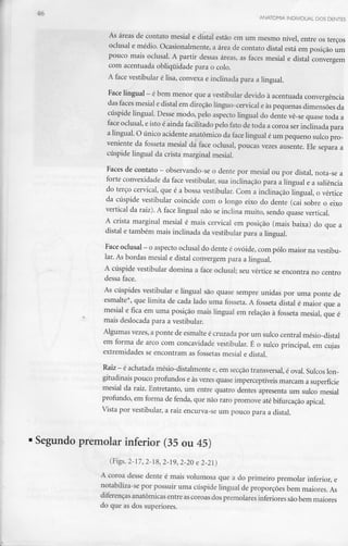 ANATOMIA INDIVIDUAL DOS DENTES
As áreas de contato mesial e distai estão em um mesmo nível, entre os terços
oclusal e médio. Ocasionalmente, a área de contato distai está em posição um
pouco mais oclusal. A partir dessas áreas, as faces mesial e distai convergem
com acentuada obliqiiidade para o colo.
A face vestibular é lisa, convexa e inclinada para a lingual.
Face lingual - ébem menor que avestibular devido à acentuada convergência
das faces mesial e distai em direção línguo-cervical e àspequenas dimensões da
cúspide lingual. Desse modo, pelo aspecto lingual do dente vê-se quase toda a
face oclusal, eisto é ainda facilitado pelo fato de toda a coroa ser inclinada para
a lingual. O único acidente anatómico da face lingual é um pequeno sulco pro-
veniente da fosseta mesial da face oclusal, poucas vezes ausente. Ele separa a
cúspide lingual da crista marginal mesial.
Faces de contato - observando-se o dente por mesial ou por distai, nota-se a
forte convexidade da face vestibular, sua inclinação para a lingual e a saliência
do terço cervical, que é a bossa vestibular. Com a inclinação lingual, o vértice
da cúspide vestibular coincide com o longo eixo do dente (cai sobre o eixo
vertical da raiz). A face lingual não se inclina muito, sendo quase vertical.
A crista marginal mesial é mais cervical em posição (mais baixa) do que a
distai e também mais inclinada da vestibular para a lingual.
Face oclusal - o aspecto oclusal do dente é ovóide, compólo maior na vestibu-
lar. As bordas mesial e distai convergem para a lingual.
A cúspide vestibular domina a face oclusal; seu vértice se encontra no centro
dessa face.
As cúspides vestibular e lingual são quase sempre unidas por uma ponte de
esmalte*, que limita de cada lado uma fosseta. A fosseta distai é maior que a
mesial e fica em uma posição mais lingual em relação à fosseta mesial, que é
mais deslocada para a vestibular.
Algumas vezes,a ponte de esmalte é cruzada por um sulco central mésio-distal
em forma de arco com concavidade vestibular. É o sulco principal, em cujas
extremidades se encontram as fossetas mesial e distai.
Raiz - é achatada mésio-distalmente e,em secção transversal, é oval. Sulcos lon-
gitudinais pouco profundos e às vezes quase imperceptíveis marcam a superfície
mesial da raiz. Entretanto, um entre quatro dentes apresenta um sulco mesial
profundo, em forma de fenda, que não raro promove até bifurcação apical.
Vista por vestibular, a raiz encurva-se um pouco para a distai.
Segundo premolar inferior (35 ou 45)
(Figs. 2-17, 2-18, 2-19, 2-20 e 2-21)
A coroa desse dente é mais volumosa que a do primeiro premolar inferior, e
notabiliza-se por possuir uma cúspide lingual de proporções bem maiores.As
diferenças anatómicas entre ascoroas dos premolares inferiores são bem maiores
do que as dos superiores.
 