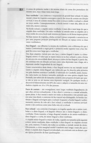 ANATOMIA INDIVIDUAL DOS DENTES
g3 A coroa do primeiro molar é da mesma altura da coroa dos premolares do
mesmo arco, mas é duas vezes mais larga.
Face vestibular - seu contorno é trapezoidal de grande base oclusal. Os lados
mesial e distai do trapézio convergem a partir das áreas de contato em direção
cervical. A área de contato mesial fica entre os terços médio t oclusal e a distai
no terço médio. Conseqúentemente, a borda mesial é mais alta, além de ser
mais reta, menos convexa.
Na borda oclusal, a cúspide mésio-vestibular é mais alta e mais larga do que a
cúspide disto-vestibular. Um sulco vestibular se estende entre as cúspides até o
terço médio da coroa, local onde termina em fosseta ou de forma imperceptível.
Na base menor do trapézio, a linha cervical é pouco arqueada ecaracteriza-se
por uma pequena projeção pontiaguda em direção ao espaço entre as duas
raízes vestibulares.
Face lingual - sua silhueta é a mesma da vestibular, com a diferença de que é
maior. Contrariando a regra geral, o primeiro molar superior tem a face lin-
gual da coroa mais larga que a vestibular.
Das duas cúspides visíveis por esta face, a mésio-lingual é maior e a disto-
lingual, menor. O sulco que as separa inicia-se na face oclusal e, com a forma
de um arco de concavidade distai, alcança o centro da face lingual. A partir daí,
ele continua reto em direção cervical, como uma depressão rasa e larga, até a
depressão similar longitudinal da raiz lingual.
Como característica deste dente, a face lingual mostra na sua metade mesial
(junto à cúspide mésio-lingual) um tubérculo que foi descrito pela primeira
vez pelo dentista austríaco Carabelli. O tubérculo de Carabelli, assim chama-
do, varia muito em forma e tamanho, podendo ser uma quinta cúspide bem
formada, um tubérculo de tamanho razoável, uma pequena elevação que qua-
se não se nota ou até mesmo uma depressão vestigial. De qualquer modo, é
discernível bilateralmente em 60% dos casos e adquire o tamanho de uma ver-
dadeira cúspide em 10 a 15% das pessoas.
Faces de contato - são retangulares; mais largas vestíbulo-lingualmente do
que altas cérvico-oclusalmente. A face distai é convexa e a mesial achatada,
quase plana. A face mesial é maior em todas as dimensões e isto permite que,
em uma vista distai, o contorno da face mesial seja distinguido. As bordas ves-
tibular e lingual convergem para a oclusal. Enquanto a borda lingual é unifor-
memente convexa do colo até a face oclusal, a vestibular é convexa cervical-
mente e daí continua como uma linha reta até a oclusal.
Face oclusal - seucontorno é losângico; os ângulos agudos são o mésio-vesti-
bular e o disto-lingual, e os ângulos obtusos são o mésio-lingual e o disto-
vestibular. Desta maneira, a longa diagonal estende-se de mésio-vestibular a
disto-lingual e a curta, de mésio-lingual a disto-vestibular.
A cúspide mésio-lingual é a maior de todas, seguida em tamanho pela seguinte
ordem: mésio-vestibular, disto-vestibular e disto-lingual.As cúspides mesiais
são, pois, maiores. É maior, em todos os sentidos, a metade mesial do dente.
Obviamente, a crista marginal mesial é também mais longa e mais alta que a
distai.Acúspide disto-lingual é arredondada, em contraste com as demais, que
são típicas pirâmides de base quadrangular.
 
