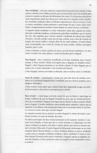 55
Face vestibular - tem um contorno trapezoidal de grande base oclusal. A base
menor coincide com a linha cervical, que épraticamente reta, mas manda uma
ponta de esmalte na direção da bifurcação das raízes. Os elementos descritivos
mais importantes desta face ficam por conta das três cúspides mésio-vestibu-
lar, vestibular mediana e disto-vestibular, separadas por sulcos verticais. O sul-
co mésio-vestibular é mais profundo e mais longo do que o sulco disto-vesti-
bular e frequentemente termina numa fosseta no centro da face vestibular.
A cúspide mésio-vestibular é a mais volumosa e mais alta, seguida em tama-
nho pela vestibular mediana e, finalmente, pela disto-vestibular, que é a menor
das três. Isto significa que a borda oclusal é inclinada de mesial para distai.
Portanto, a borda mesial é mais alta do que a distai, com a área de contato na
junção dos terços médio e oclusal, além de ser mais retilínea. A borda distai,
mais arredondada, tem a área de contato no terço médio. Ambas convergem
bastante para o colo.
A face vestibular é muito convexa no terço cervical (bossa vestibular). Os dois
terços restantes são mais planos e muito inclinados para a lingual.
Face lingual - tem o contorno semelhante ao da face vestibular, mas é menor
porque as faces mesial e distai convergem para a lingual. As cúspides mésio-
lingual e disto-lingual projetam-se na borda oclusal. O sulco lingual que as
separa não é muito destacado e não termina em fosseta.
A face lingual, convexa em todas as direções, não se inclina como a vestibular.
Faces de contato - examinando o dente por uma das faces de contato, reco-
nhece-se a inclinação lingual da face vestibular, que por sinal se acentua com o
desgaste fisiológico.
A face mesial é toda maior que a distai. Deste fato depreende-se que, no senti-
do horizontal, as faces livres convergem para a distai.
Face oclusal - é mais larga na borda mesial do que na distai, e mais larga na
borda vestibular do que na lingual. Entende-se, pois, que no sentido horizon-
tal as faces vestibular e lingual convergem para a distai e as faces mesial e distai,
para a lingual. A borda vestibular, entrecortada pelas cúspides e sulcos que as
separam, é curvilínea, com acentuação dessa curva na porção distai. É, portan-
to, convexa, muito mais que a borda lingual.
As cúspides mesiais são as maiores (a mésio-lingual é a maior de todas) e per-
fazem metade, ou mais da metade, da coroa.
Os sulcos principais da face oclusal arranjam-se de maneira variável. A ma-
neira mais simples, se bem que não é a mais comum, é a disposição em dois
sulcos retilíneos cruzados. Um deles é mésio-distal, com início na fosseta me-
sial e término bifurcado. O ramo lingual da bifurcação interrompe-se na crista
marginal distai (fosseta distai), e o ramo vestibular desloca-se para a vestibular
e passa entre as cúspides vestibular mediana e disto-vestibular. O outro é vestí-
bulo-lingual (formado pelos sulcos vestibular e lingual); separa as cúspides me-
siais das demais e cruza o primeiro sulco em ângulos retos, formando a fosse-
ta central.
 