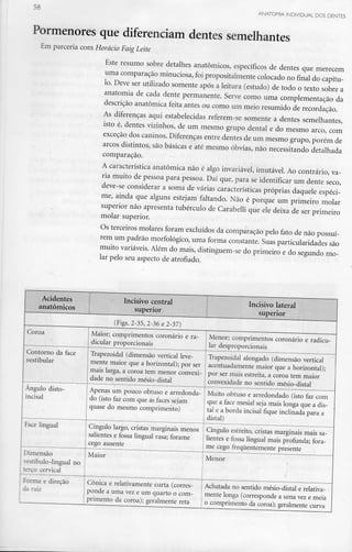 58 ANATOMIA INDIVIDUAL DOS DENTES
Pormenores que diferenciam dentes semelhantes
Em parceria com Horácio Faig Leite
Este resumo sobre detalhes anatómicos, específicos de dentes que merecem
uma comparação minuciosa, foi propositalmente colocado no final do capítu-
lo. Deve ser utilizado somente após a leitura (estudo) de todo o texto sobre a
anatomia de cada dente permanente. Serve como uma complementação da
descrição anatómica feita antes ou como um meio resumido de recordação.
As diferenças aqui estabelecidas referem-se somente a dentes semelhantes,
isto é, dentes vizinhos, de um mesmo grupo dental e do mesmo arco, com
exceção dos caninos. Diferenças entre dentes de um mesmo grupo, porém de
arcos distintos, são básicas e até mesmo óbvias, não necessitando detalhada
comparação.
A característica anatómica não é algo invariável, imutável. Ao contrário, va-
ria muito de pessoa para pessoa. Daí que, para se identificar um dente seco,
deve-se considerar a soma de várias características próprias daquele espéci-
me, ainda que alguns estejam faltando. Não é porque um primeiro molar
superior não apresenta tubérculo de Carabelli que ele deixa de ser primeiro
molar superior.
Os terceiros molares foram excluídos da comparação pelo fato de não possuí-
rem um padrão morfológico, uma forma constante. Suas particularidades são
muito variáveis. Além do mais, distinguem-se do primeiro e do segundo mo-
lar pelo seu aspecto de atrofiado.
Acidentes
anatómicos
Incisivo central
superior
Incisivo lateral
superior
(Figs. 2-35, 2-36 e2-37)
Coroa
Contorno da face
vestibular
Ângulo disto-
incisai
Face lingual
Dimensão
vestíbulo-lingual no
terço cervical
Forma e direção
da raiz
Maior; comprimentos coronário e ra-
dicular proporcionais
Trapezoidal (dimensão verticalleve-
mente maior que a horizontal); por ser
mais larga, a coroa tem menor convexi-
dade no sentido mésio-distal
Apenas um pouco obtuso earredonda-
do (isto faz com que as faces sejam
quase do mesmo comprimento)
Cíngulo largo, cristas marginais menos
salientes e fossa lingual rasa; forame
cego ausente
Maior
Cónica e relativamentecurta (corres-
ponde a uma vez e um quarto o com-
primento da coroa); geralmente reta
Menor; comprimentos coronário e radicu-
lar desproporcionais
Trapezoidal alongado (dimensãovertical
acentuadamente maior que ahorizontal);
por ser mais estreita, a coroa tem maior
convexidade no sentidomésio-distal
Muito obtuso e arredondado (isto faz com
que a face mesial seja mais longa que a dis-
tai e a borda incisai fique inclinada para a
distai)
Cíngulo estreito, cristas marginais mais sa-
lientes e fossa lingual mais profunda; fora-
me cego frequentemente presente
Menor
Achatada no sentido mésio-distale relativa-
mente longa (correspondea uma vez e meia
o comprimento da coroa); geralmente curva
 