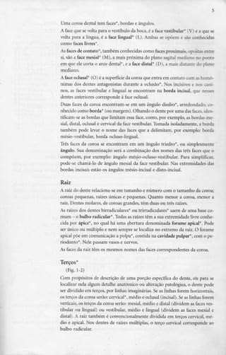 Uma coroa dental tem faces*, bordas e ângulos.
A face que se volta para o vestíbulo da boca, é a face vestibular'" (V) e a que se
volta para a língua, é a face lingual* (L).Ambas se opõem e são conhecidas
como faces livres*.
As faces de contato*, também conhecidas como faces proximais, opostas entre
si, são a face mesial* (M), a mais próxima do plano sagital mediano no ponto
em que ele corta o arco dental*, e a face distai* (D), a mais distante do plano
mediano.
A face oclusal* (O) é a superfície da coroa que entra em contato com as homó-
nimas dos dentes antagonistas durante a oclusão*. Nos incisivos e nos cani-
nos, as faces vestibular e lingual se encontram na borda incisai, que nesses
dentes anteriores corresponde à face oclusal.
Duas faces da coroa encontram-se em um ângulo diedro*, arredondado, co-
nhecido como borda* (ou margem). Olhando o dente por uma das faces, iden-
tificam-se as bordas que limitam essa face, como, por exemplo, as bordas me-
sial, distai, oclusal e cervical da face vestibular. Tomada isoladamente, a borda
também pode levar o nome das faces que a delimitam, por exemplo: borda
mésio-vestibular, borda ocluso-lingual.
Três faces da coroa se encontram em um ângulo triedro*, ou simplesmente
ângulo. Sua denominação será a combinação dos nomes das três faces que o
compõem, por exemplo: ângulo mésio-ocluso-vestibular. Para simplificar,
pode-se chamá-lo de ângulo mesial da face vestibular. Nas extremidades das
bordas incisais estão os ângulos mésio-incisal e disto-incisal.
Raiz
A raiz do dente relaciona-se em tamanho e número com o tamanho da coroa;
coroas pequenas, raízes únicas e pequenas. Quanto menor a coroa, menor a
raiz. Dentes molares, de coroas grandes, têm duas ou três raízes.
As raízes dos dentes birradiculares* ou trirradiculares* saem de uma base co-
mum - o bulbo radicular*. Todas asraízes têm a sua extremidade livre conhe-
cida por ápice*, no qual há uma abertura denominada forame apical*. Pode
ser único ou múltiplo e nem sempre se localiza no extremo da raiz. O forame
apical põe em comunicação a polpa*, contida na cavidade pulpar*, com o pe-
riodonto*. Nele passam vasos e nervos.
As faces da raiz têm os mesmos nomes das faces correspondentes da coroa.
Terços*
(Kg. 1-2)
Com propósitos de descrição de uma porção específica do dente, ou para se
localizar nela algum detalhe anatómico ou alteração patológica, o dente pode
ser dividido em terços, por linhas imaginárias. Se as linhas forem horizontais,
os terços da coroa serão: cervical*, médio e oclusal (incisai). Se as linhas forem
verticais, os terços da coroa serão: mesial, médio e distai (dividem as faces ves-
tibular ou lingual) ou vestibular, médio e lingual (dividem as faces mesial e
distai). A raiz também é convencionalmente dividida em terços cervical, mé-
dio e apical. Nos dentes de raízes múltiplas, o terço cervical corresponde ao
bulbo radicular.
 