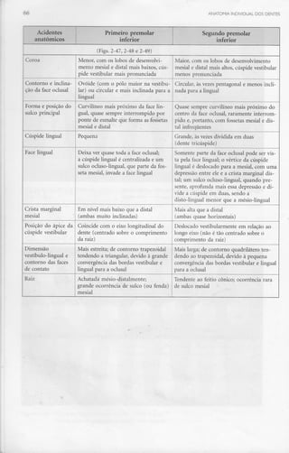 66 ANATOMIA INDIVIDUAL DOS DENTES
Acidentes
anatómicos
Primeiro premolar Segundo premolar
inferior inferior
(Figs. 2-47, 2-48 e 2-49)
Coroa
Contorno e inclina-
ção da face oclusal
Forma e posição do
sulco principal
Cúspide lingual
Face lingual
Crista marginal
mesial
Posição do ápice da
cúspide vestibular
Dimensão
vestíbulo-lingual e
contorno das faces
de contato
Raiz
Menor, com os lobos de desenvolvi-
mento mesial e distai mais baixos, cús-
pide vestibular mais pronunciada
Ovóide (com o pólo maior na vestibu-
lar) ou circular e mais inclinada para a
lingual
Curvilíneo mais próximo da face lin-
gual, quase sempre interrompido por
ponte de esmalte que forma as fossetas
mesial e distai
Pequena
Deixa ver quase toda a face oclusal;
a cúspide lingual é centralizada e um
sulco ocluso-lingual, que parte da fos-
seta mesial, invade a face lingual
Em nível mais baixo que a distai
(ambas muito inclinadas)
Coincide com o eixo longitudinal do
dente (centrado sobre o comprimento
da raiz)
Mais estreita; de contorno trapezoidal
tendendo a triangular, devido à grande
convergência das bordas vestibular e
lingual para a oclusal
Achatada mésio-distalmente;
grande ocorrência de sulco (ou fenda)
mesial
Maior, com os lobos de desenvolvimento
mesial e distai mais altos, cúspide vestibular
menos pronunciada
Circular, às vezes pentagonal e menos incli-
nada para a lingual
Quase sempre curvilíneo mais próximo do
centro da face oclusal, raramente interrom-
pido e, portanto, com fossetas mesial e dis-
tai infreqúentes
Grande, às vezes dividida em duas
(dente tricúspide)
Somente parte da face oclusal pode ser vis-
ta pela face lingual; o vértice da cúspide
lingual é deslocado para a mesial, com uma
depressão entre ele e a crista marginal dis-
tai; um sulco ocluso-lingual, quando pre-
sente, aprofunda mais essa depressão e di-
vide a cúspide em duas, sendo a
disto-lingual menor que a mésio-lingual
Mais alta que a distai
(ambas quase horizontais)
Deslocado vestibularmente em relação ao
longo eixo (não é tão centrado sobre o
comprimento da raiz)
Mais larga; de contorno quadrilátero ten-
dendo ao trapezoidal, devido à pequena
convergência das bordas vestibular e lingual
para a oclusal
Tendente ao feitio cónico; ocorrência rara
de sulco mesial
 