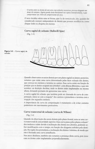 83
O atrito entre os dentes de um arco, nas oclusões sucessivas, provoca desgaste nas
áreas de contato e ligeira perda óssea horizontal nos septos interalveolares, o que
compromete uns 3mm do comprimento do arco.
O arco decíduo adota uma só forma, que é a de semicírculo, isto, quando for
considerado normal, independente de fatores que possam modificá-lo, como
chupar dedo ou chupeta em excesso.
Curva sagital de oclusão (Balkwill-Spee)
(Fig. 3-3)
Figura 3-3 - Curva sagital de
oclusão.
Quando observamos os arcos dentais por um plano sagital ou ântero-posterior,
notamos que existe uma curva determinada pelas faces oclusais dos dentes,
que começa nos molares e termina no canino. Essa curva existe em função da
posição que os dentes ocupam nos alvéolos*, com alturas diferentes, o que não
acontece na dentição decídua, onde os dentes estão implantados na mesma
altura, deixando portanto de apresentar essa curva.
A curva sagital de oclusão, que também pode ser chamada de curva de com-
pensação, inicia-se com a erupção* dos caninos e premolares e termina com a
erupção dos segundos molares.
A importância da curva de compensação é exatamente a de evitar contatos
posteriores em movimentos protrusivos.
Curva transversal de oclusão (curva deWilson)
(Fig. 3-4)
Quando da observação dos arcos dentais pelo plano frontal, nota-se uma cur-
va transversal de concavidadesuperior. Essa curva passa pelos planos oclusais*
dos molares e existe devido à inclinação dos dentes nos alvéolos, podendo so-
frer modificações com o tempo, em função dos desgastes sofridos pela denti-
ção. Na região dos premolares, a inclinação dos dentes é mínima, de modo que
não é formada uma curva semelhante.
Nos arcos decíduos, também não notamos a presença desta curva, pois nesse
caso os dentes estão implantados perpendicularmente.
 
