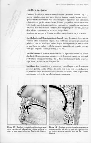 -- ARCOS DENTAIS PERMANENTES E OCLUSÃO DENTAL
Equilíbrio .cjo
Os dentes de cada arco apresentam os chamados "pontos de contato" (Fig. 1-7),
que na verdade passam a ser superfícies ou áreas de contato* com o tempo e
que são muito importantes para a manutenção do equilíbrio, mas, além disso,
existem forças que incidem sobre os dentes e que podem alterar esse equilí-
brio. Dentre elas destacamos as forças exercidas por músculos da mastigação
(músculo masseter, músculo temporal, músculo pterigóideo medial), as quais
determinam o contato entre os dentes antagonistas*.
Analisaremos a seguir os diversos sentidos nos quais essas forças ocorrem.
Sentido horizontal (direção vestíbulo-lingual) - nosdentes anteriores,a mus-
culatura labial exerce uma força na face vestibular, que deve ser equilibrada
pela força exercida pela língua na face lingual. Já nos posteriores, a musculatu-
ra jugal é que age na face vestibular, devendo ser equilibrada pelas forças exer-
cidas pela língua na face lingual (Figs. 3-7 e 3-8).
Sentido horizontal (direção mésio-distal) - o equilíbrio no sentido mésio-
distal é devido aos pontos de contato; a perda de um único dente ou parte dele
pode alterar esse equilíbrio (Fig.3-9). O dente imediatamente distai ao espaço
vago tende a se deslocar em direção a ele.
Sentido vertical - o equilíbrio nesse sentido émantido graças aosdentes anta-
gonistas, que impedem a extrusão do dente, bem como pelo próprio ligamen-
to periodontal que impede a intrusão do dente no alvéolo, isto é, o aprofunda-
mento deste no interior da substância óssea esponjosa.
Figura 3-7 - Equilíbrio vestíbulo-lingual dosdentes ante-
riores mantidos pela ação da língua e lábios, conforme in-
dicam as setas (desenho feito por Élica Patrícia Ribeiro).
Figura 3-8 - Equilíbrio vestíbulo-lingual dosdentes pos-
teriores mantidos pela ação da língua e bochecha, confor-
me indicam as setas (desenho feito por Élica Patrícia
Ribeiro).
 