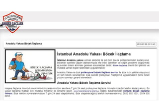 Anadolu yakasi bocek ilaclama sirketleri fiyatlari 2019