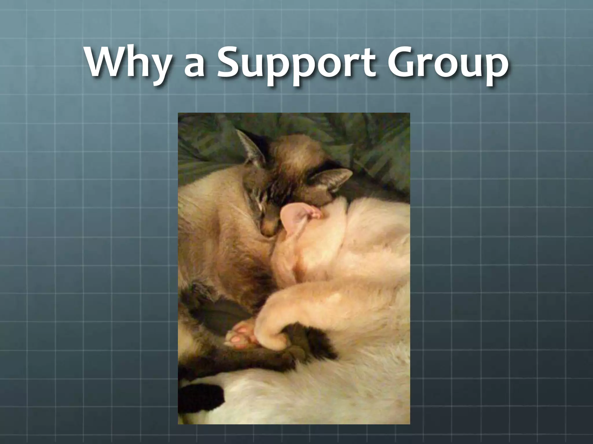 Why a Support Group