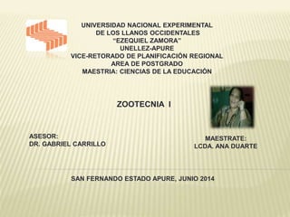 UNIVERSIDAD NACIONAL EXPERIMENTAL
DE LOS LLANOS OCCIDENTALES
“EZEQUIEL ZAMORA”
UNELLEZ-APURE
VICE-RETORADO DE PLANIFICACIÓN REGIONAL
AREA DE POSTGRADO
MAESTRIA: CIENCIAS DE LA EDUCACIÓN
ZOOTECNIA I
ASESOR:
DR. GABRIEL CARRILLO
MAESTRATE:
LCDA. ANA DUARTE
SAN FERNANDO ESTADO APURE, JUNIO 2014
 