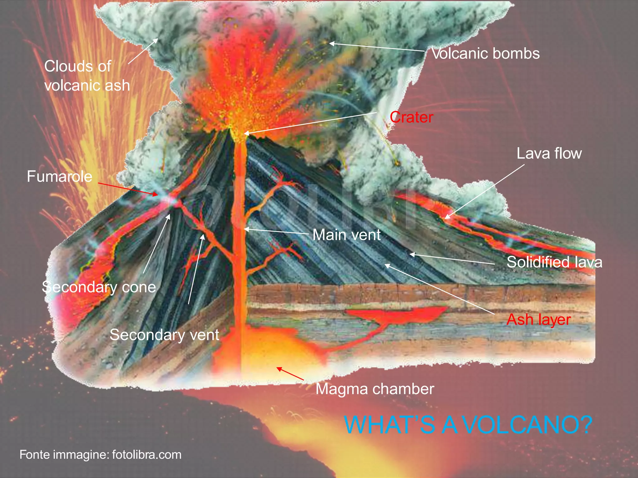 Magma chamber
WHAT’S AVOLCANO?
Volcanic bombs
Clouds of
volcanic ash
Main vent
Secondary cone
Fumarole
Lava flow
Crater
Secondary vent
Solidified lava
Ash layer
Fonte immagine: fotolibra.com
 