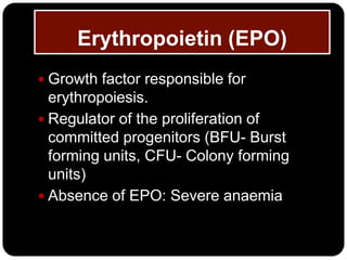 Erythropoietin (EPO)
 Growth factor responsible for
  erythropoiesis.
 Regulator of the proliferation of
  committed progenitors (BFU- Burst
  forming units, CFU- Colony forming
  units)
 Absence of EPO: Severe anaemia
 