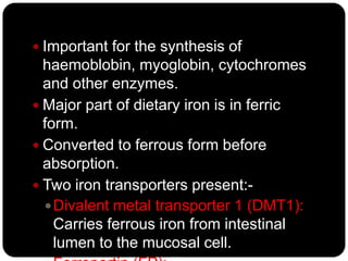  Important for the synthesis of
  haemoblobin, myoglobin, cytochromes
  and other enzymes.
 Major part of dietary iron is in ferric
  form.
 Converted to ferrous form before
  absorption.
 Two iron transporters present:-
   Divalent metal transporter 1 (DMT1):
    Carries ferrous iron from intestinal
    lumen to the mucosal cell.
 