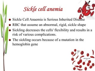 Sickle cell anemia
Sickle Cell Anaemia is Serious Inherited Disease
RBC that assume an abnormal, rigid, sickle shape
Sickling decreases the cells' flexibility and results in a
risk of various complications.
The sickling occurs because of a mutation in the
hemoglobin gene
 