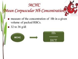 MCHC
(Mean Corpuscular Hb Concentration)
MCHC
 