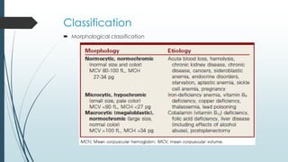 Classification
 Morphological classification
 