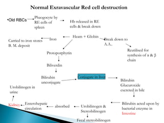 ANAEMIA-HAEMOLYTICcjsjancbcjjdejsjd..ppt