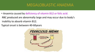 • Anaemia caused by deficiency of vitamin B12 or folic acid.
RBC produced are abnormally large and may occur due to body’s
inability to absorb vitamin B12.
Typical onset is between 40-60years
 