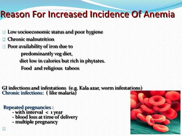 Anti Anemia Diet