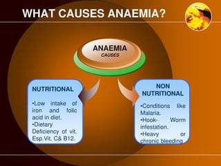 WHAT CAUSES ANAEMIA? 
NON 
NUTRITIONAL 
•Conditions like 
Malaria. 
•Hook- Worm 
infestation. 
•Heavy or 
chronic bleeding 
NUTRITIONAL 
•Low intake of 
iron and folic 
acid in diet. 
•Dietary 
Deficiency of vit. 
Esp.Vit. C& B12. 
ANAEMIA 
CAUSES 
 