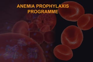 ANEMIA PROPHYLAXIS
   PROGRAMME
 
