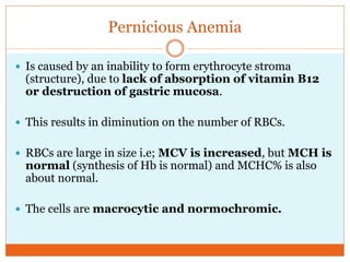 Pernicious Anemia
 Is caused by an inability to form erythrocyte stroma
(structure), due to lack of absorption of vitamin B12
or destruction of gastric mucosa.
 This results in diminution on the number of RBCs.
 RBCs are large in size i.e; MCV is increased, but MCH is
normal (synthesis of Hb is normal) and MCHC% is also
about normal.
 The cells are macrocytic and normochromic.
 