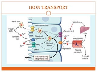 IRON TRANSPORT
 