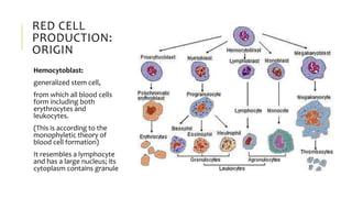 RED CELL
PRODUCTION:
ORIGIN
Hemocytoblast:
generalized stem cell,
from which all blood cells
form including both
erythrocytes and
leukocytes.
(This is according to the
monophyletic theory of
blood cell formation)
It resembles a lymphocyte
and has a large nucleus; its
cytoplasm contains granule
 