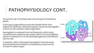 PATHOPHYSIOLOGY CONT.
The primary role of red blood cells is the transport of respiratory
gasses.
In the lung, oxygen diffuses across the alveolar barrier from
inspired air into blood, where the majority is bound by haemoglobin
to form oxy-Hb, a process called oxygenation.
Haemoglobin is contained in the red blood cells, which, being
circulated by the cardiovascular system, deliver O2 to the periphery
where it is released from its Hb-bond (deoxygenation) and diffuses
into the cells.
In anaemia, there is decreased Haemoglobin which decreases
exercise performance despite a compensatory actions such as
increase in cardiac output.
 