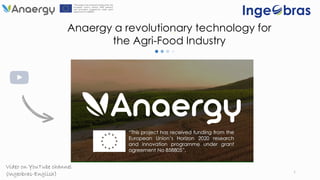2
Anaergy a revolutionary technology for
the Agri-Food Industry
Video on YouTube channel
(Ingeobras-English)
 